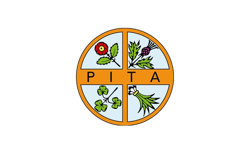 PITA