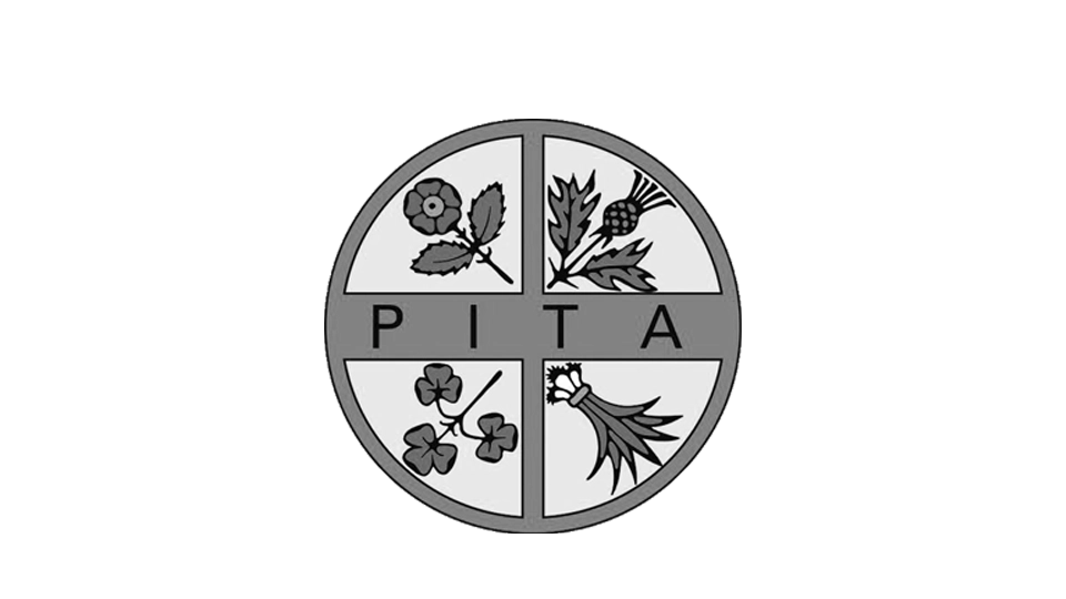 PITA